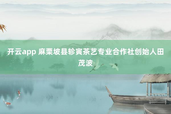 開云app 麻栗坡縣軫寅茶藝專業合作社創始人田茂波