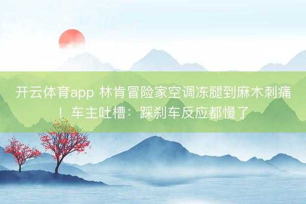 開云體育app 林肯冒險家空調凍腿到麻木刺痛！車主吐槽：踩剎車反應都慢了